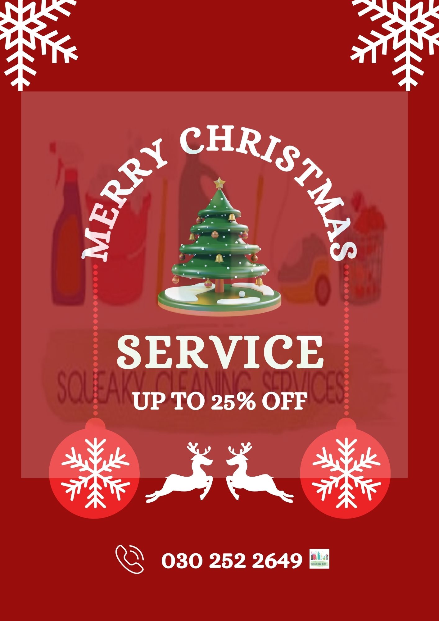 Christmas Cleaning Offer 25% Off