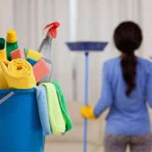 Squeaky Cleaning Services