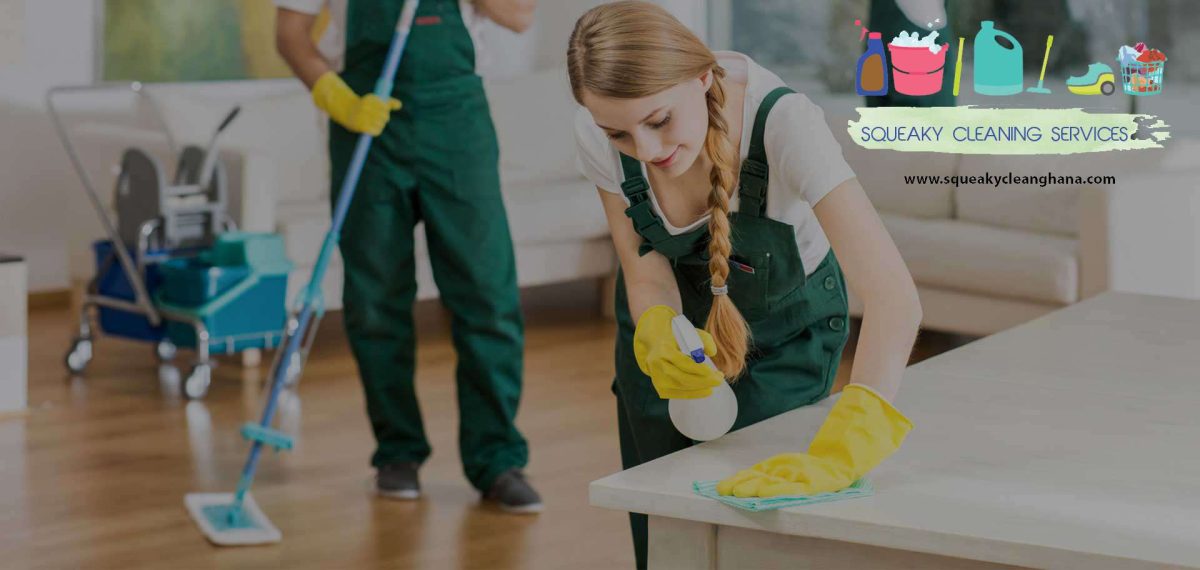 Squeaky Cleaning Services